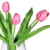 Tulip Arrangement - Pink - Image 2