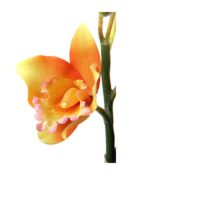 Cattleya Mini Spray - Orange - Image 3