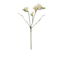 Freesia Spray - Cream