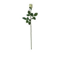 Mint Lisa Rose Stem