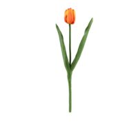 Tulip Spray - Orange