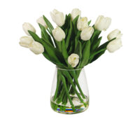 White Tulip Arrangement