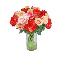 Rose Arrangement - Mixed