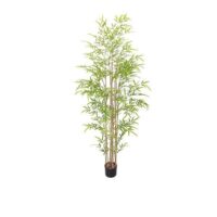 BAM-BAMBOO-1.8M.jpg