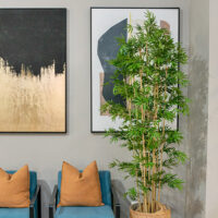Bamboo Tree - 1.8M - Image 3
