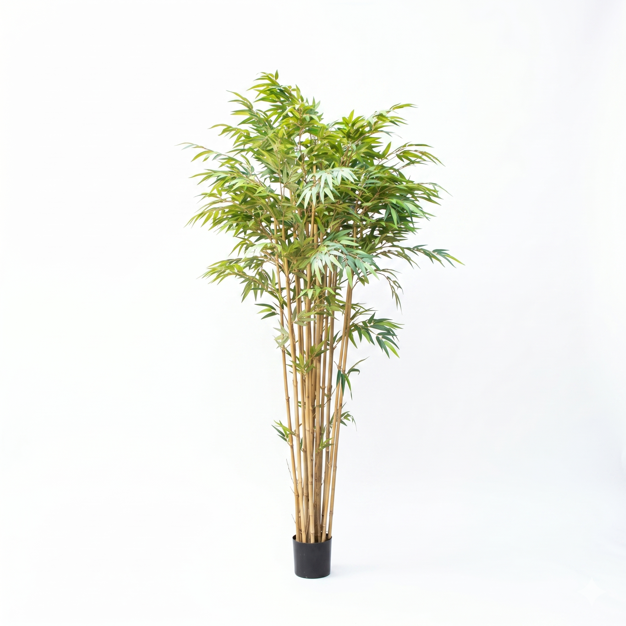 artificial Bamboo Tree - 2.2M