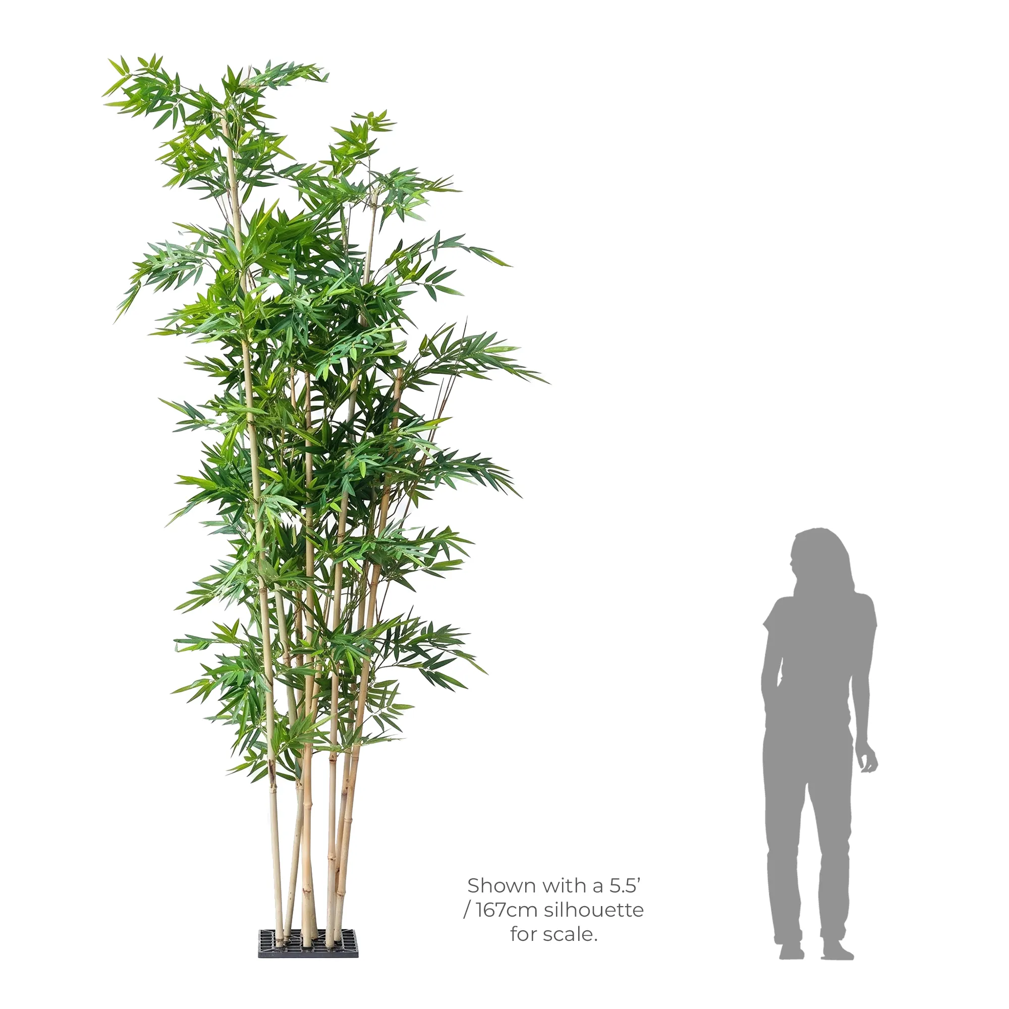 Artificial Bamboo Tree - 3.5M