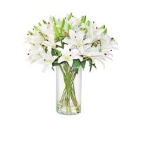 Tiger Lily Arrangement - White