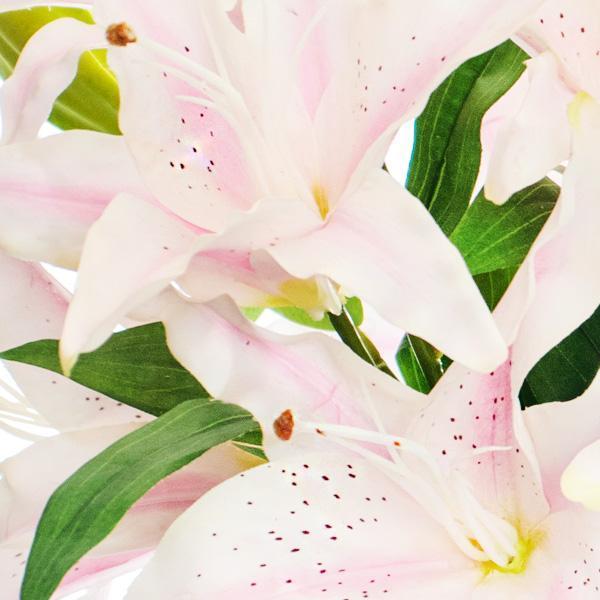 Lily Arrangement - Light Pink - Image 2