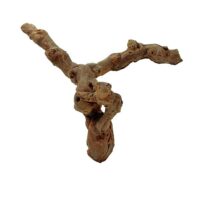 Dry Branch