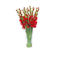 Red Gladiolus Arrangement