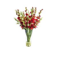 Red Gladiolus Flower Arrangement