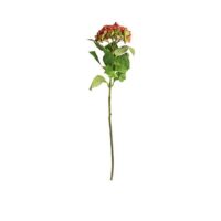 Hydrangea Stem - Green Mauve