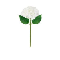 HYD-SP18.5IN-WH-48cm.jpg
