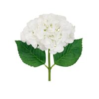 HYD-SP18.5IN-WH-zoom