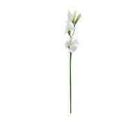 Iris Stem - White