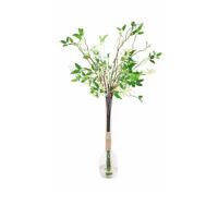 White Wild Jasmine Arrangement