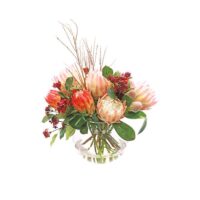 Protea Arrangement - Mixed