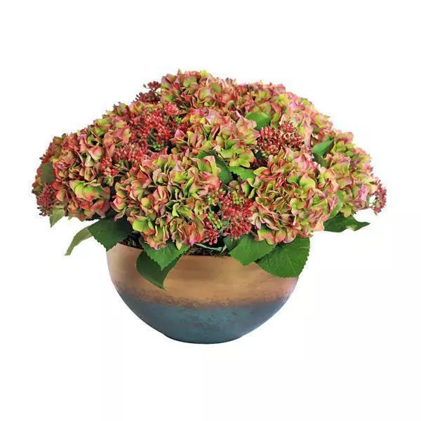 Hydrangea Arrangement - Green Mauve