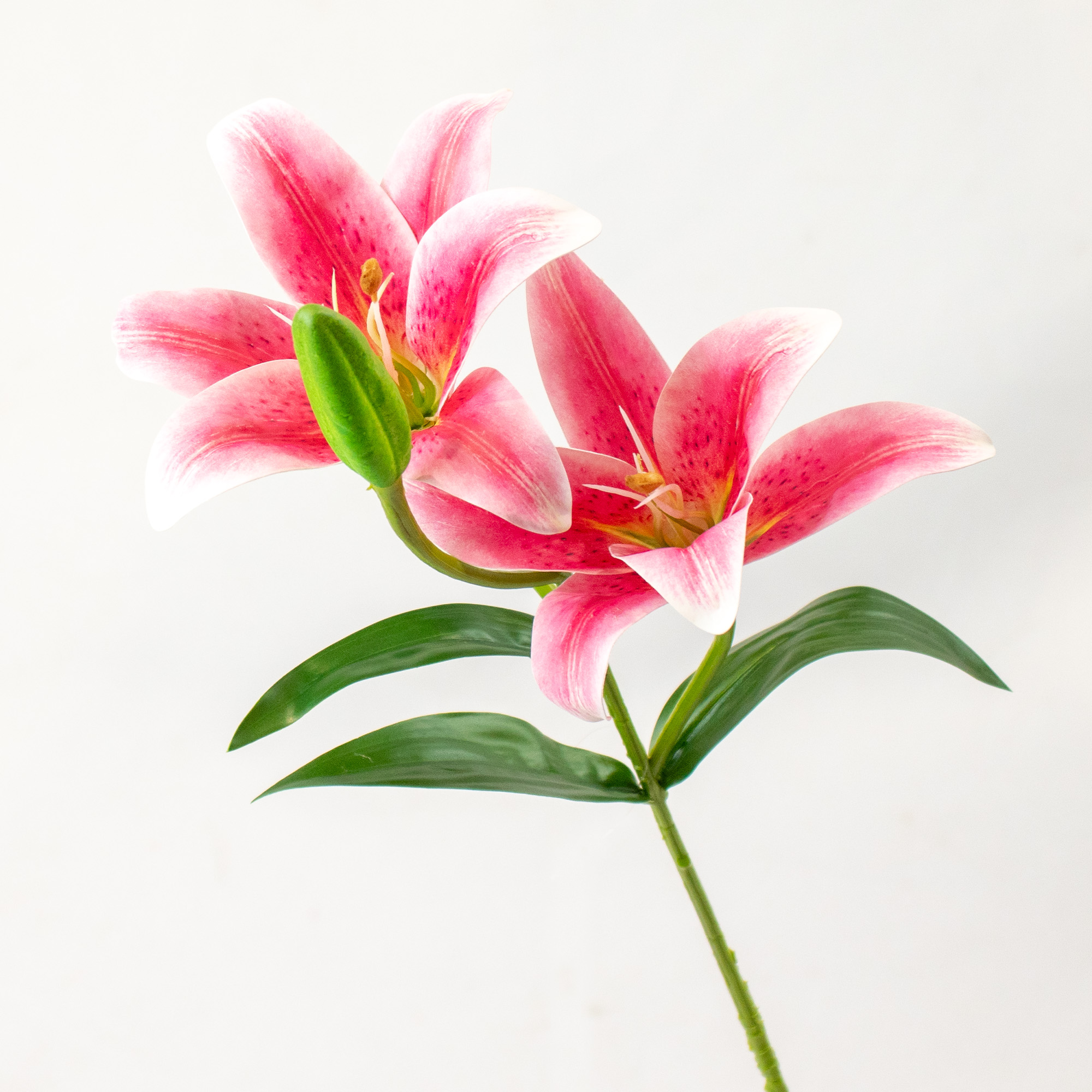 Pink Tiger Lily Spray 63CM