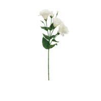 Lisianthus Spray - Cream
