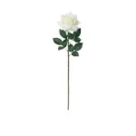 Large Open Rose Real Touch - Cream