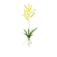 Dancing Orchid With Leaves - Yellow