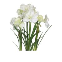 Amaryllis Arrangement - White - Image 2