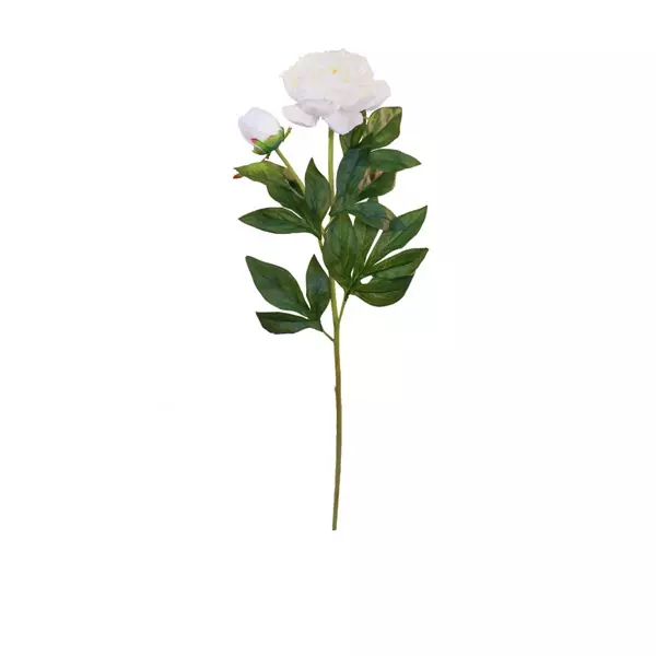 Peony Stem - Cream