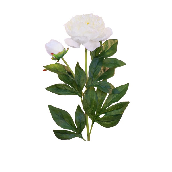 Cream Peony Stem with Leaves - 65CM - Image 2