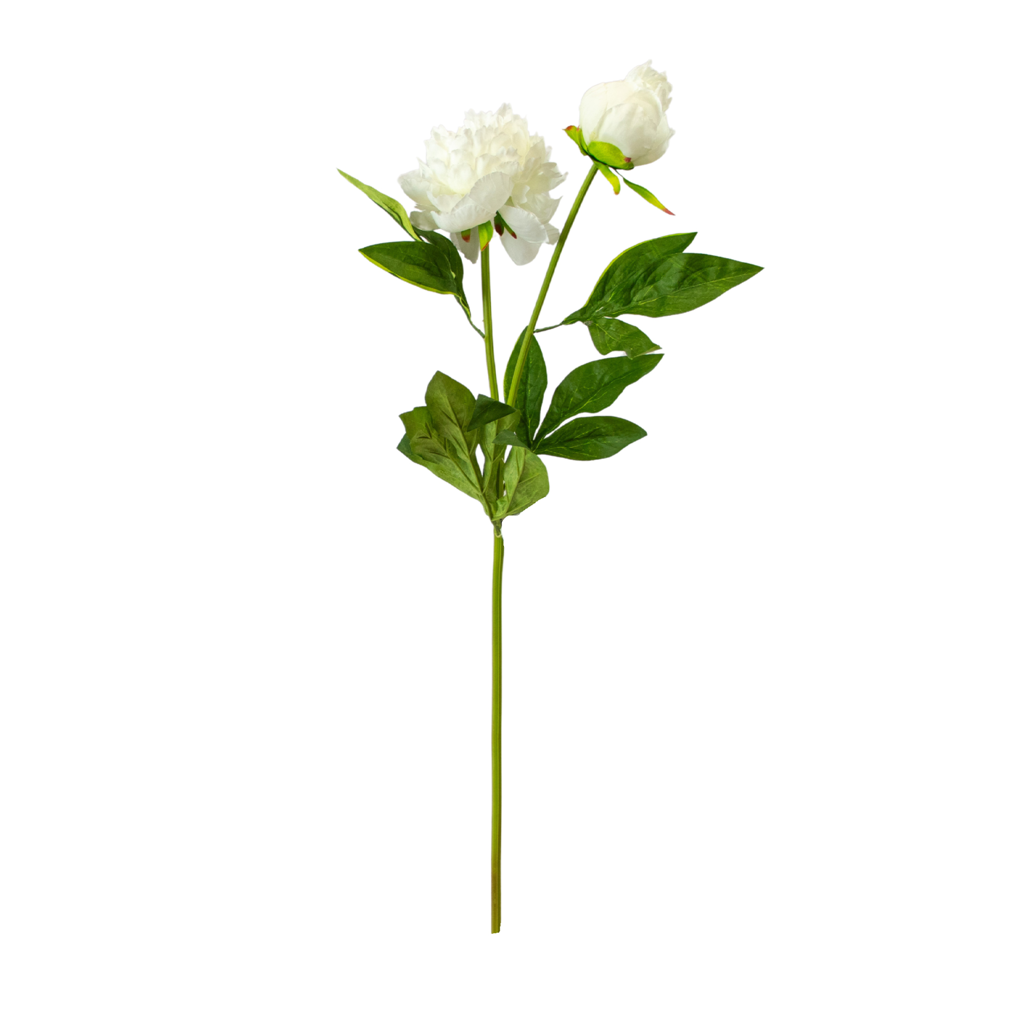 Cream Peony Spray with Bud and Leaves 65CM
