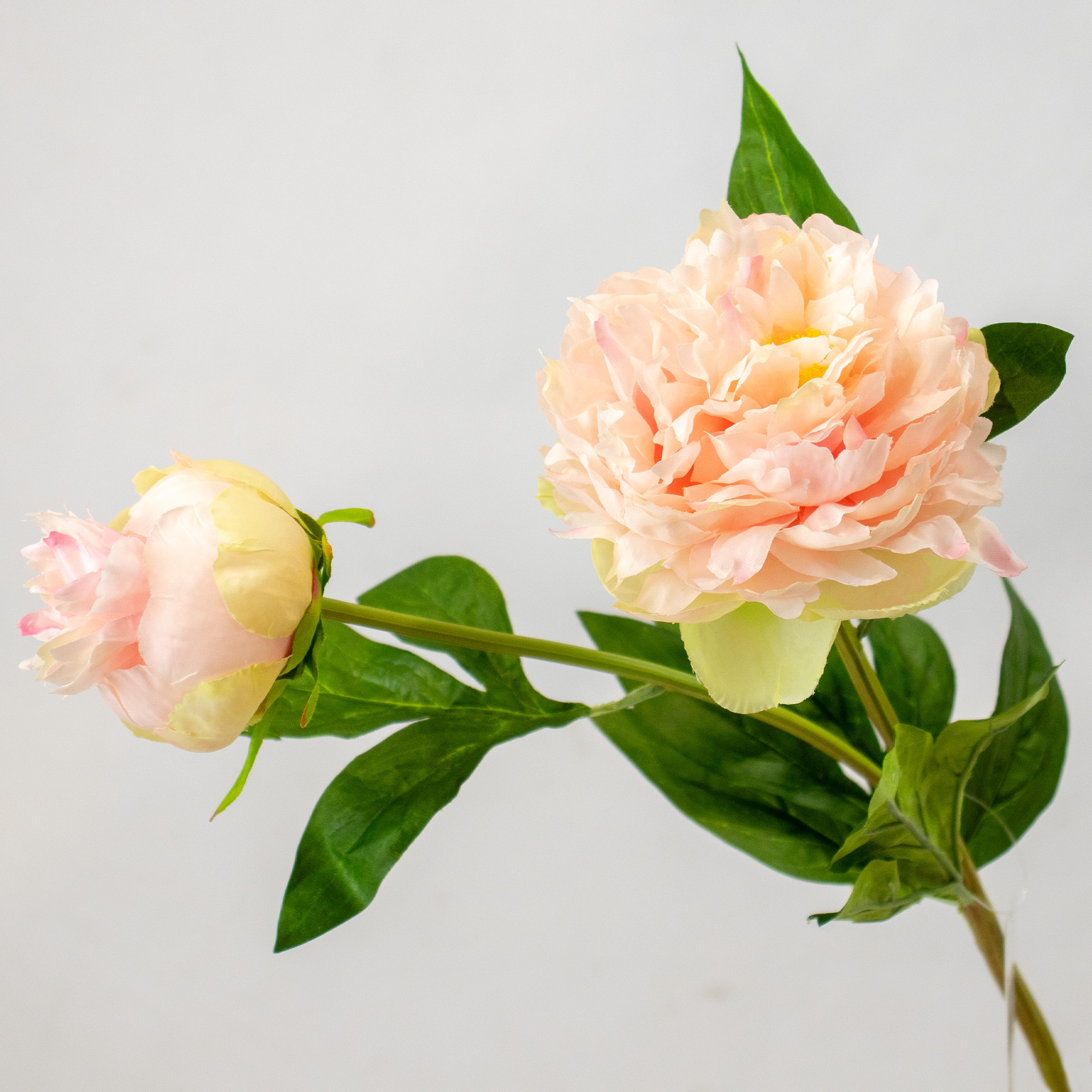 Pink Peony Stem with Leaves - 66CM