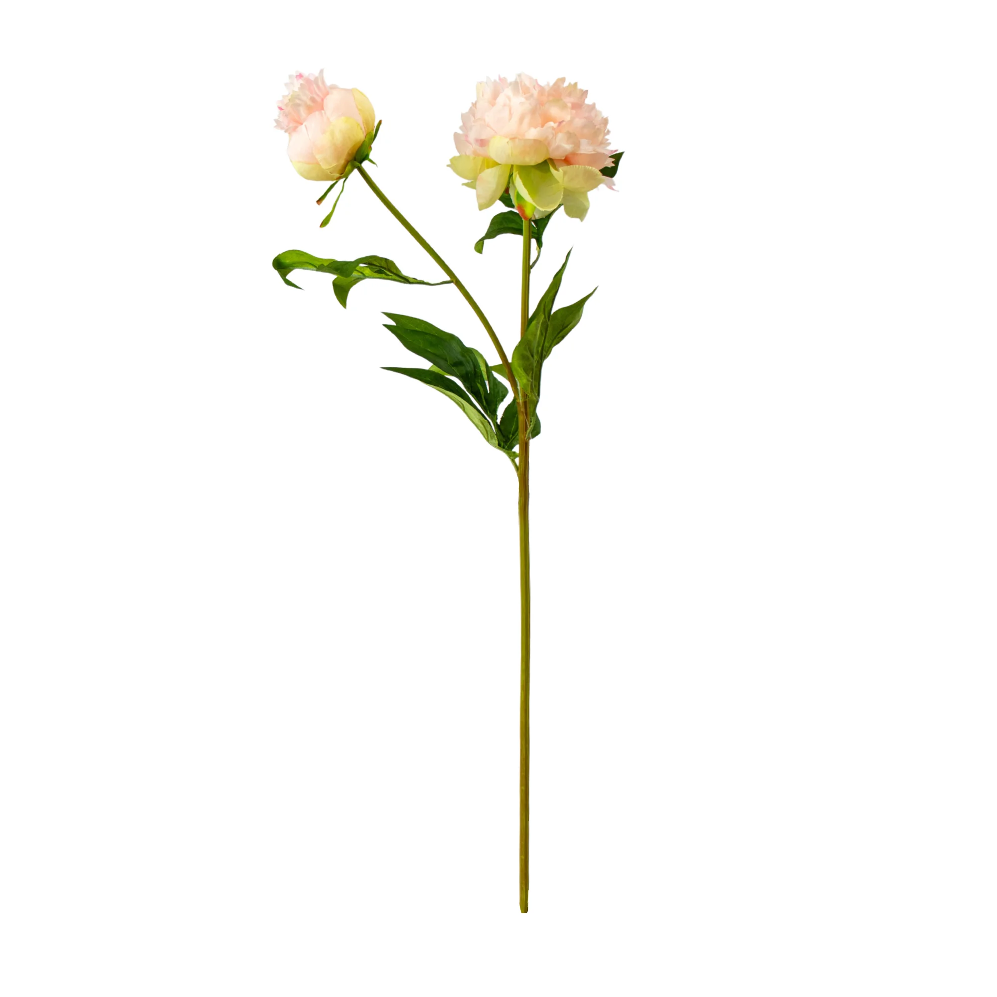 Pink Peony Stem with Leaves - 66CM