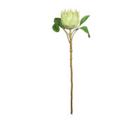 Protea Spray - Cream Green