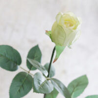 Mint Lisa Rose Stem - Image 3
