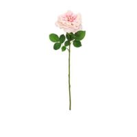 Wild Rose Spray - Pink