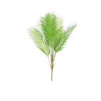 Areca Palm Plant - Green