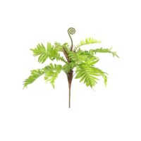 Fern Spray - Green