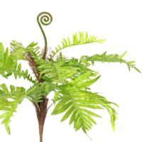 Fern Spray - Green - Image 2