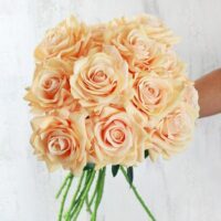 Peach Open Rose tied bunch