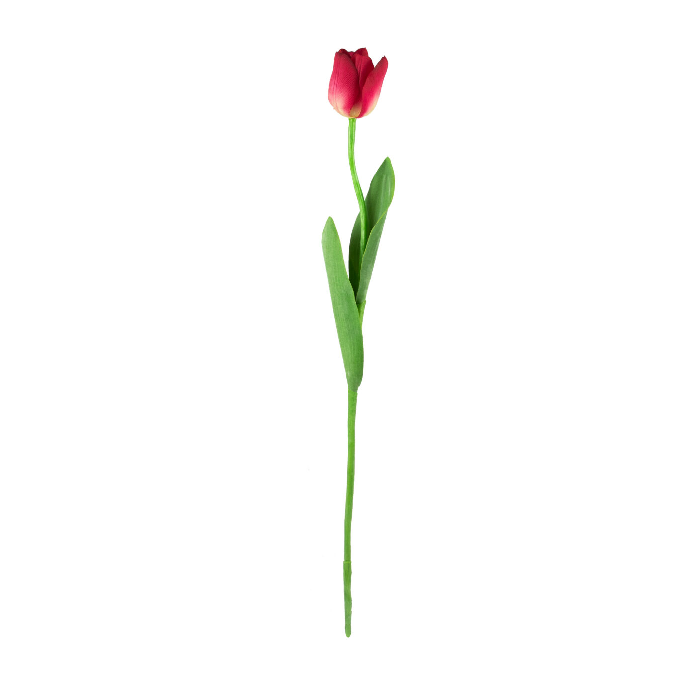 Tulip Stem with Leaves Real Touch - Plum Wine 69CM