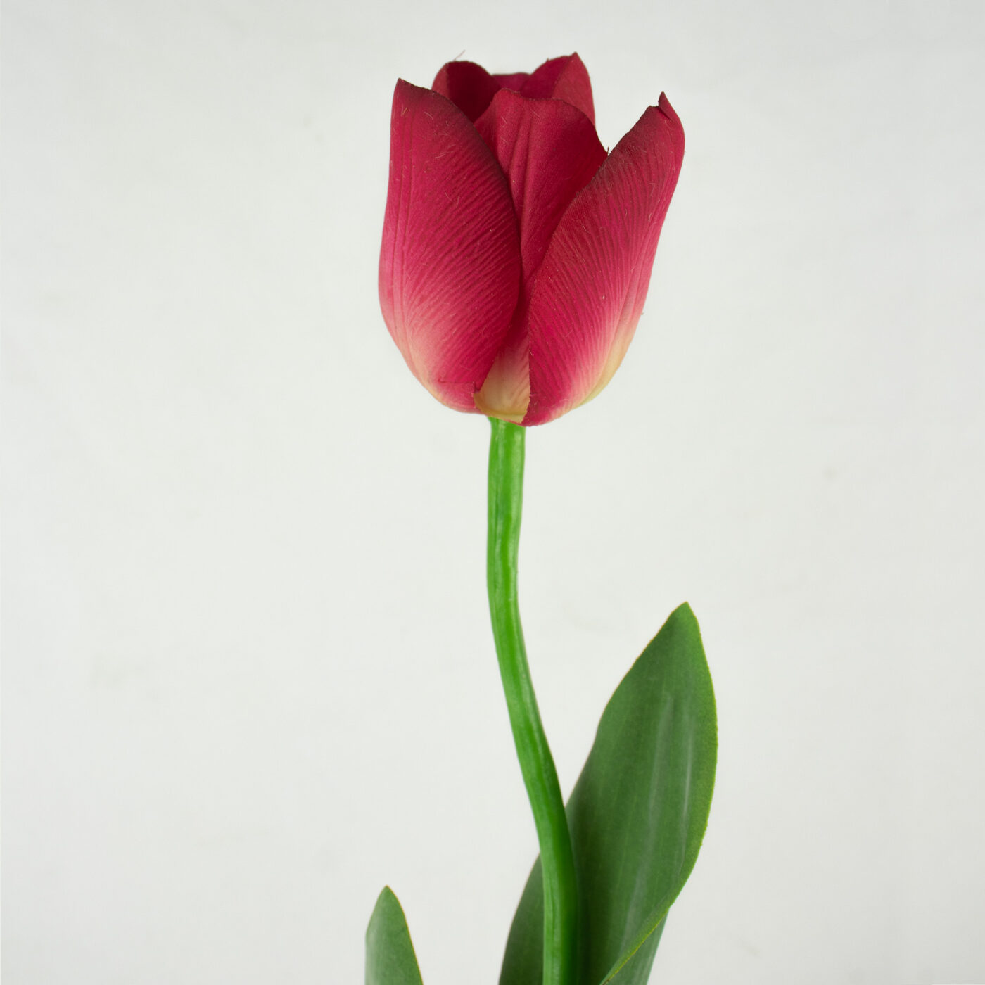 Tulip Stem with Leaves Real Touch - Plum Wine 69CM
