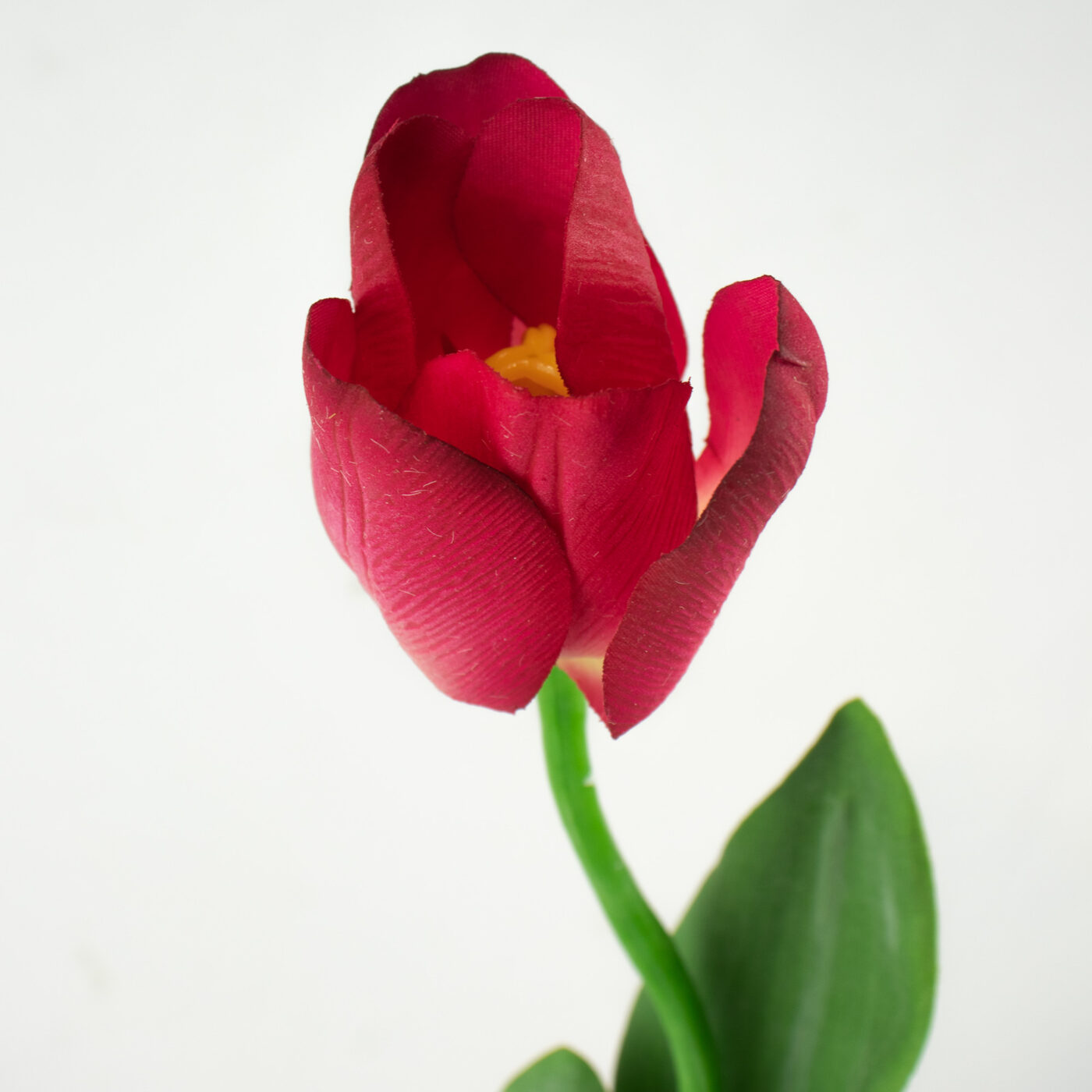 Tulip Stem with Leaves Real Touch - Plum Wine 69CM