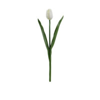 White Tulip Arrangement - Image 3