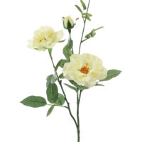 Tea Rose Spray - Cream - Image 2