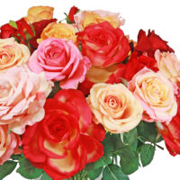 Rose Arrangement - Mixed - Image 2