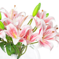 Tiger Lily Arrangement - Pink - Image 2