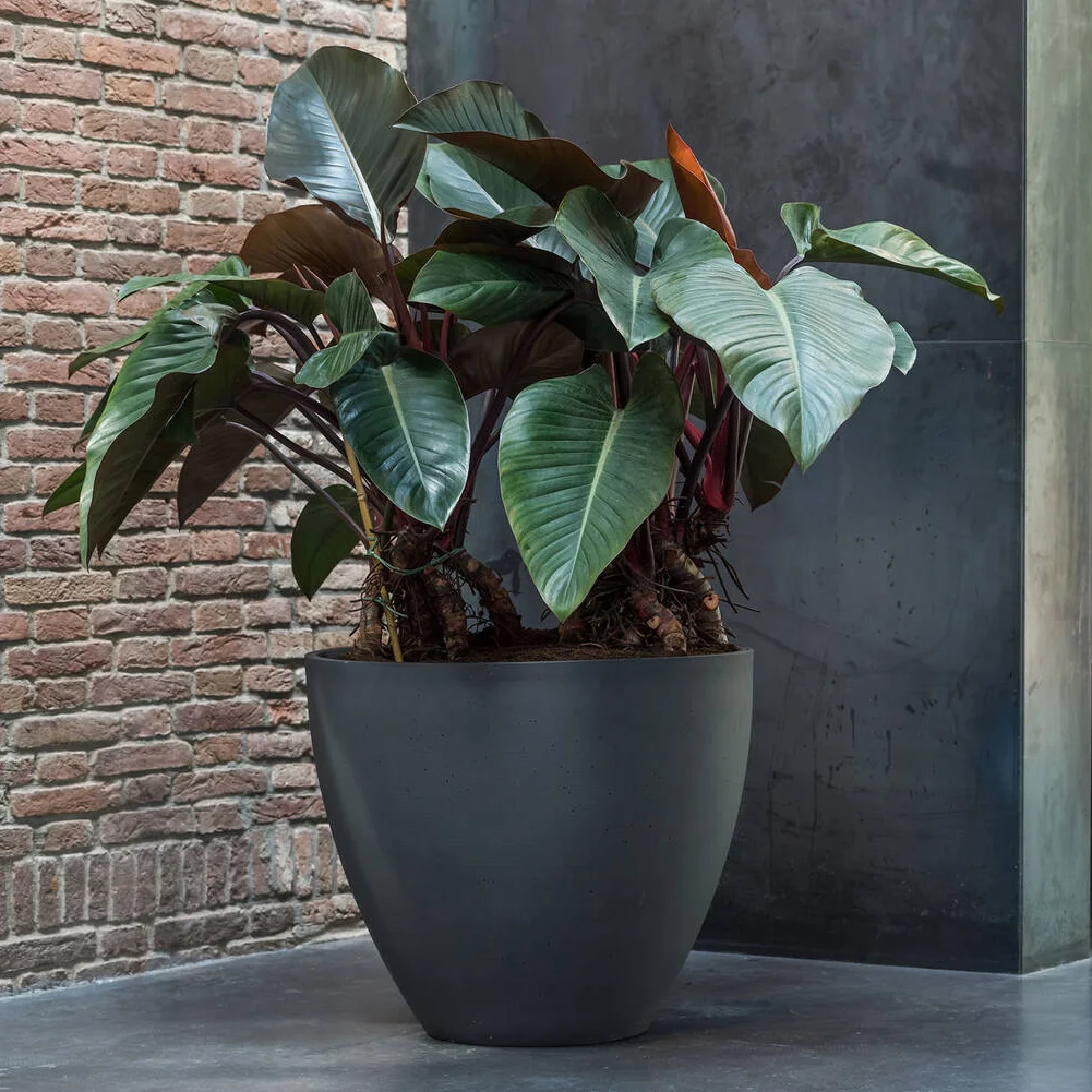 Black Sandstone Planter – Small – 44cm(H)X50cm(W)