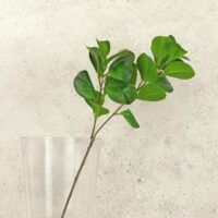 FIL-FOLIAGE-GR---lifestyle