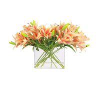 C385OR---w---65cm-x-h---38cm